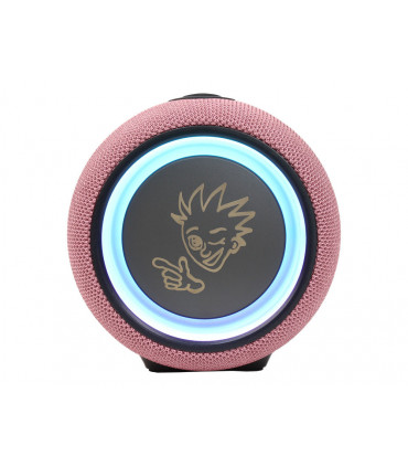 Pexman PM-10P juhtmevaba kõlar roosa