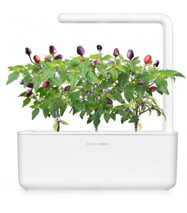 Click & Grow Smart Garden refill Lilla tšilli 3tk