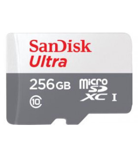 Sandisk Memory Micro SDXC 256GB UHS-I SDSQUNR-256G-GN6TA