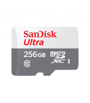 Sandisk Memory Micro SDXC 256GB UHS-I SDSQUNR-256G-GN3MN