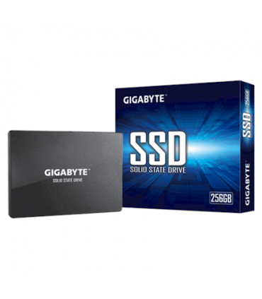 Gigabyte 256GB SATA 3.0 GP-GSTFS3125