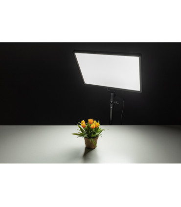 BIG stuudiovalgusti Helios LED-50VC (428023)