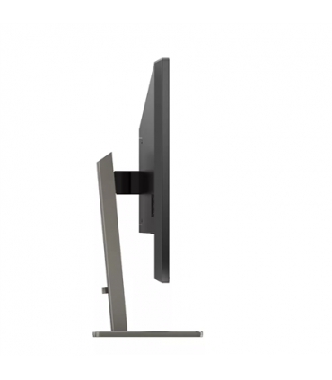 Philips P Line 439P1/00 43" Black