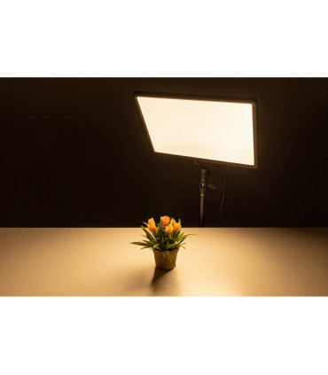 BIG stuudiovalgusti Helios LED-50VC (428023)