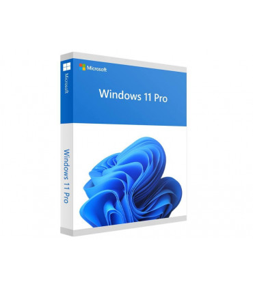 MICROSOFT Win Pro FPP 11 64-bit Eng Intl USB Win Pro Retail HAV-00163