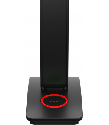 Neat mikrofon Skyline USB, must