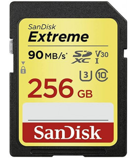 Sandisk MEMORY SDXC 256GB UHS-1/SDSDXVV-256G-GNCIN