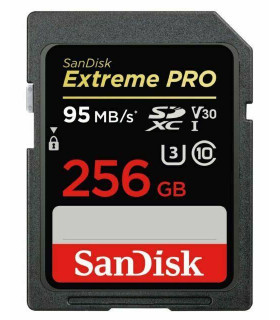 Sandisk SDXC 256GB UHS-1/SDSDXXD-256G-GN4IN