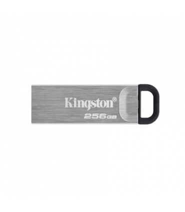 KINGSTON MEMORY DRIVE FLASH USB3.2/256GB DTKN/256GB