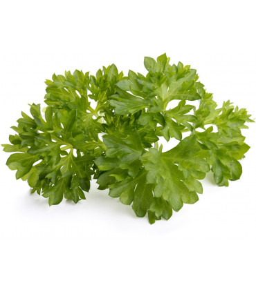 Click & Grow Smart Garden refill Petersell 3tk