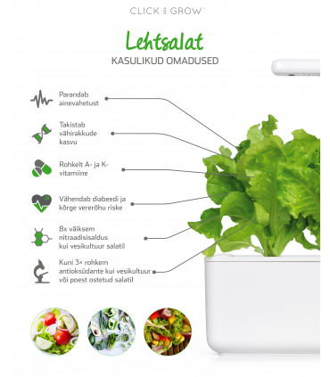 Click&Grow Smart Garden refill Lehtsalat 3tk