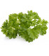Click & Grow Smart Garden refill Petersell 3tk