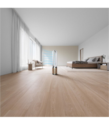 Dyson Pure Cool Link Air Purifier TP09 nutikas õhupuhasti ja ventilaator (369876-01)