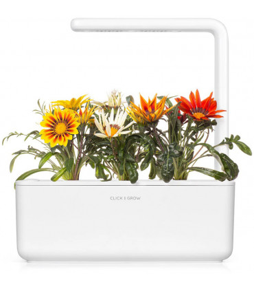 Click & Grow Smart Refill Särav gasaania 3tk