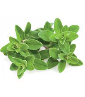 Click & Grow Smart Garden refill Majoraan 3tk