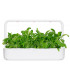 Click & Grow Smart Garden refill Mibuuna 3tk