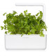 Click & Grow Smart Garden refill Harilik petersell 3tk