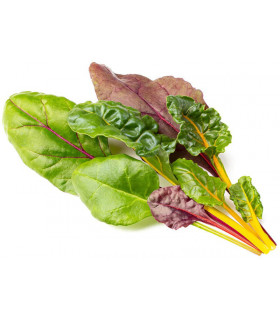 Click & Grow Smart Refill Kirju lehtpeet 3tk