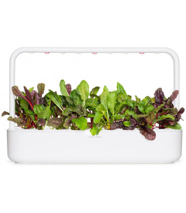 Click & Grow Smart Refill Kirju lehtpeet 3tk