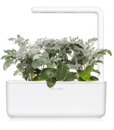 Click & Grow Smart Refill Vilt-ristirohi 3tk