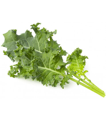 Click & Grow Smart Refill Lehtkapsas 3tk