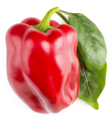 Click & Grow Smart Garden refill Punane paprika 3tk