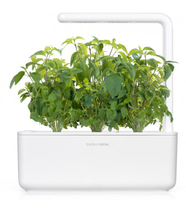 Click & Grow Smart Garden refill Tai basiilik 3tk