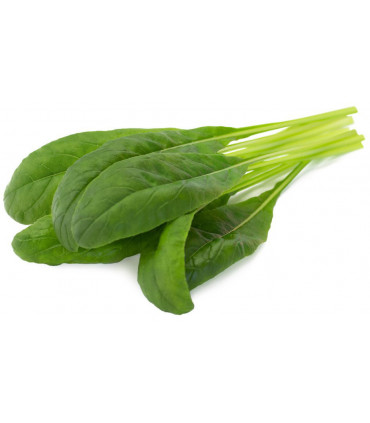 Click & Grow Smart Garden refill Mibuuna 3tk