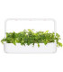 Click & Grow Smart Refill Lehtnaeris 3tk