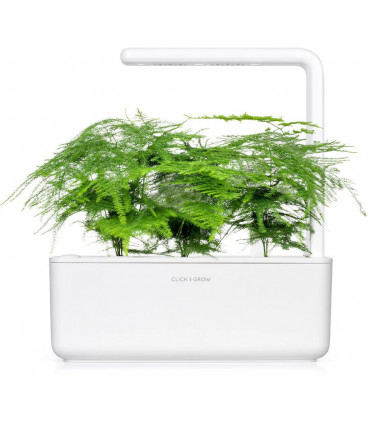 Click & Grow Smart Refill Sulgaspar 3tk