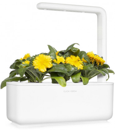 Click & Grow Smart Refill Saialill 3tk