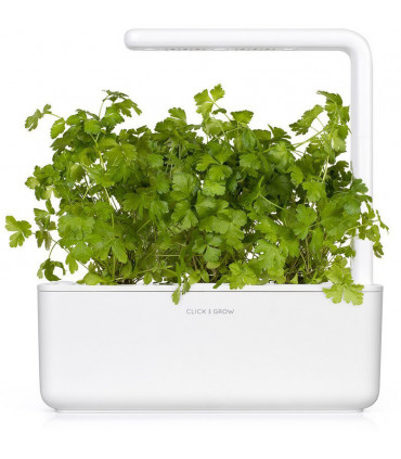 Click & Grow Smart Garden refill Harilik petersell 3tk