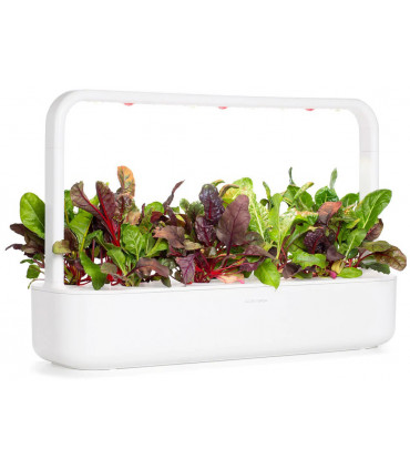 Click & Grow Smart Refill Kirju lehtpeet 3tk