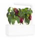 Click & Grow Smart Garden refill Punane paprika 3tk