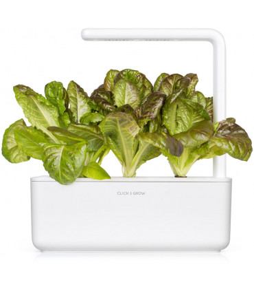 Click & Grow Smart Refill Punane Rooma salat 3tk