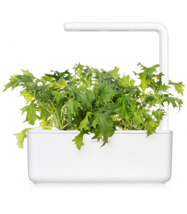 Click & Grow Smart Refill Lehtnaeris 3tk