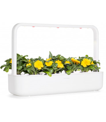 Click & Grow Smart Refill Saialill 3tk