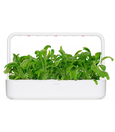 Click & Grow Smart Garden refill Mibuuna 3tk