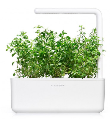 Click & Grow Smart Garden refill Mägi-piparrohi 3tk