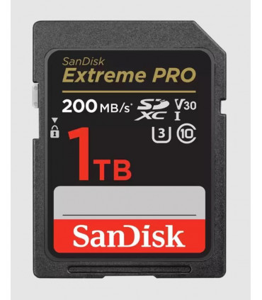Sandisk SDXC 1TB UHS-I/SDSDXXD-1T00-GN4IN