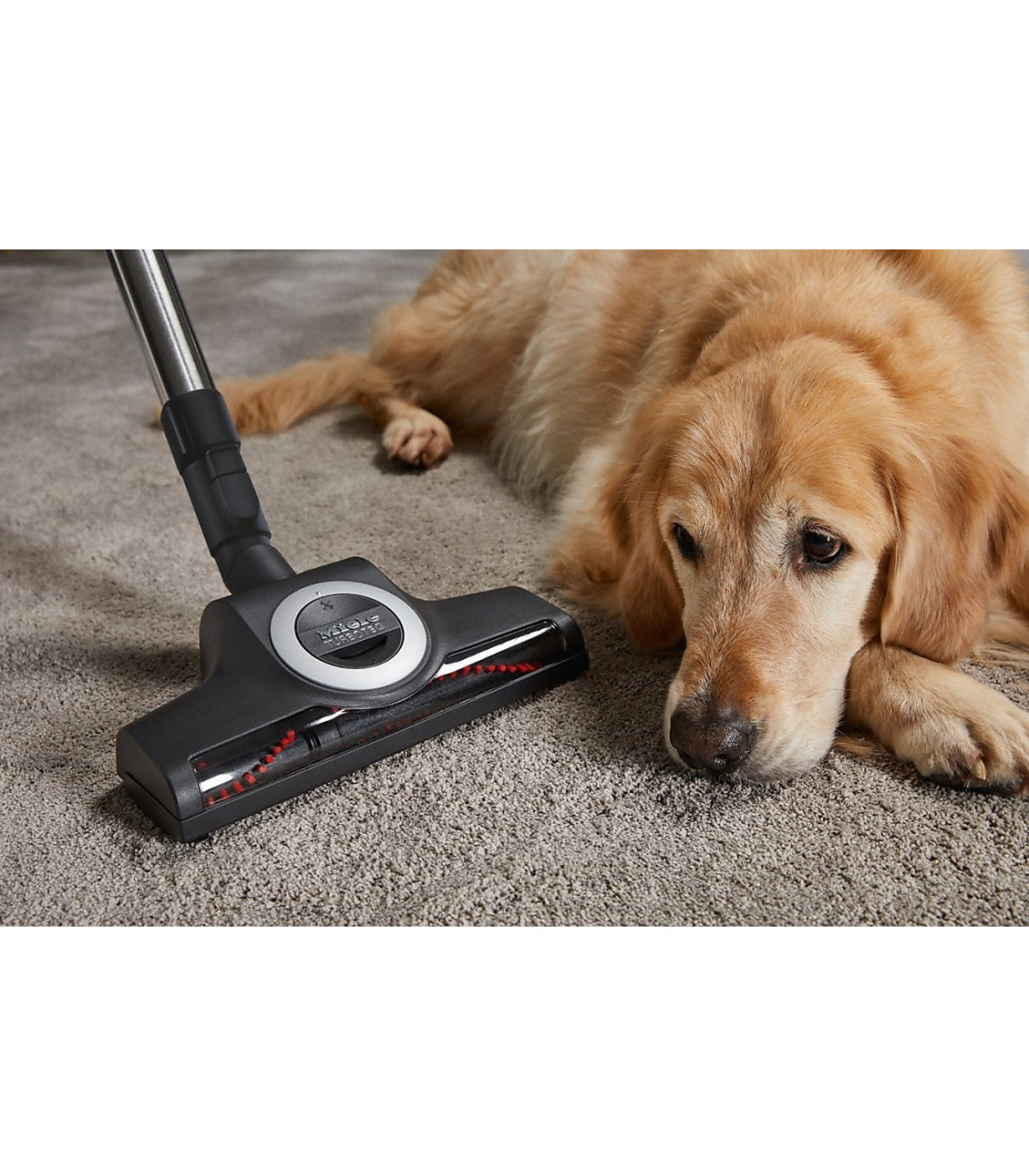 Miele Complete C3 PowerLine Cat&Dog Tayberry red