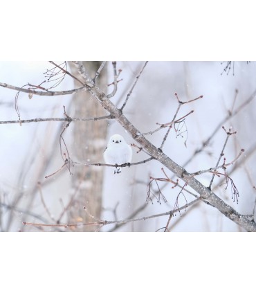 Fujifilm Fujinon XF 150-600mm f/5.6-8 R LM OIS WR objektiiv