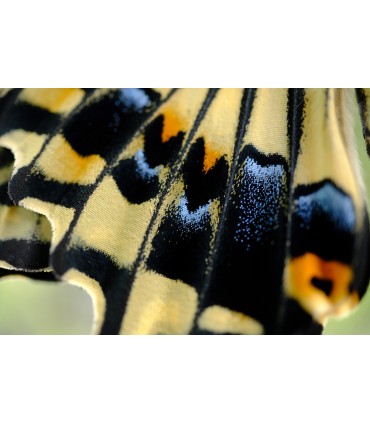 Fujifilm Fujinon XF 30mm f/2.8 R LM WR Macro objektiiv