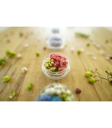 Sony E 11mm f/1.8 objektiiv