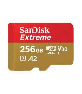 Sandisk MICRO SDXC 256GB UHS-I/W/A SDSQXAV-256G-GN6MA