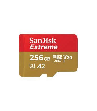 Sandisk MICRO SDXC 256GB UHS-I/W/A SDSQXAV-256G-GN6MA