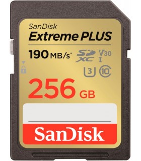 Sandisk SDXC 256GB UHS-1/SDSDXWV-256G-GNCIN