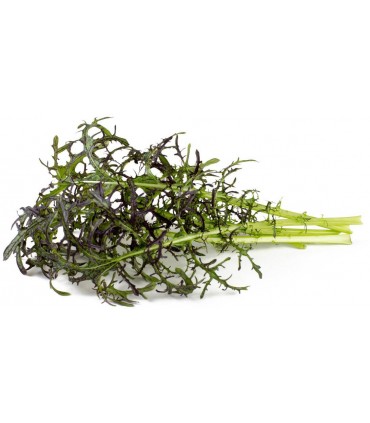 Click & Grow Smart Garden refill Punane sinep 3tk