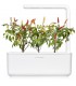 Click & Grow Smart Garden refill Punane tšillipipar 3tk