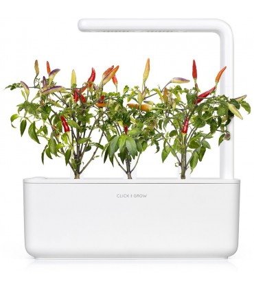 Click & Grow Smart Garden refill Punane tšillipipar 3tk